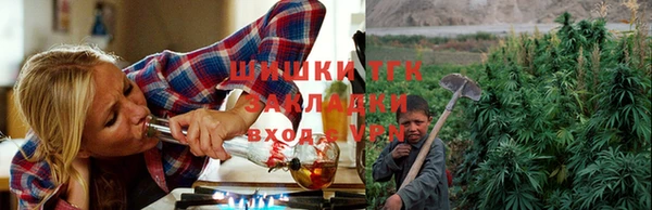 ГАЛЛЮЦИНОГЕННЫЕ ГРИБЫ Балабаново