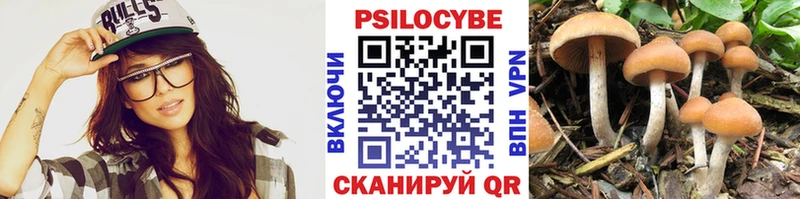 Псилоцибиновые грибы MAGIC MUSHROOMS  KRAKEN   Орлов 